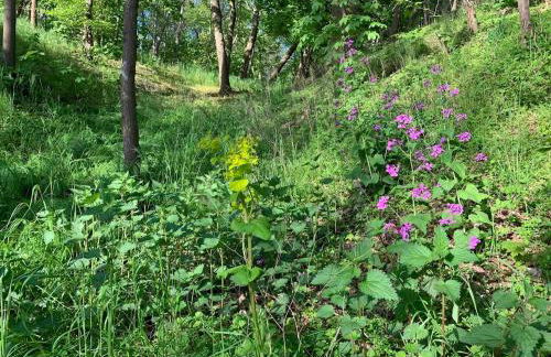 Auszeit am Schwielowsee - Moderne Ferienwohnung direkt am Schwielowsee - Foto 25