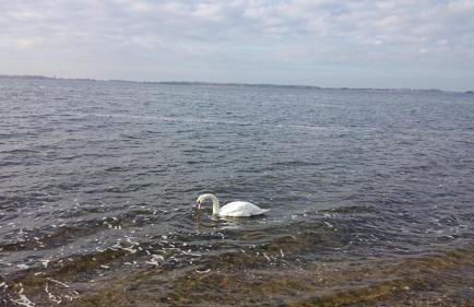 Haus Katharina - Foto 38