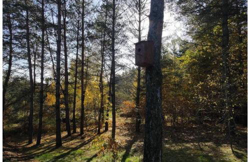 Mazurska bania u Pana Szeptuna - drewniany dom na skraju lasu - Foto 21