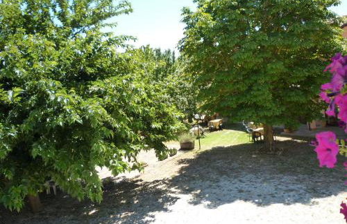 Tadinum Romana - Foto 8