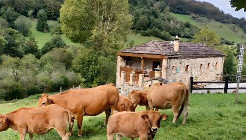 Cabaña Pasiega Lo Miñarro - Photo 2