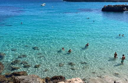 Fonoll Mari - Foto 49