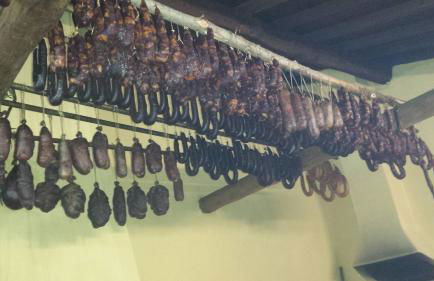 Moleiro de Bacal - Foto 50