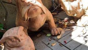 San Lorenzo 66 - Foto 2