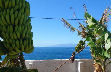 Finca Don Victor - Foto 6