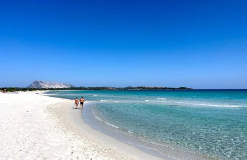 Villa Alzoni - Foto 15