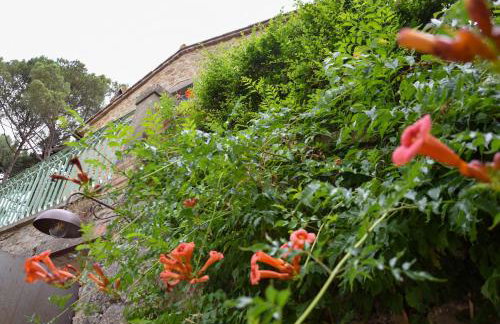 Il Maggese - Photo 35