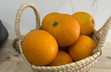 Alzira bonita Apartamento B con patio, la Casella - Foto 14