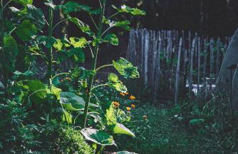 Blickinsfreie - Cabin - Foto 37