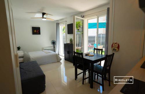 Riboleys -Superbe T1 à 100m de la plage - Foto 7