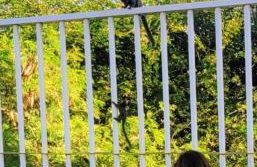 Apartamento aconchegante na praia - Foto 12