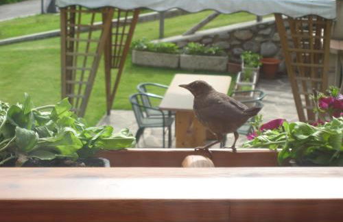 Belvilla by OYO Maso Margherita Quadrilocale - Foto 73