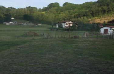 Eskolazaharra - Foto 8