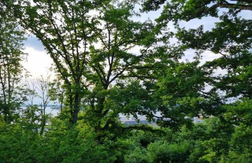 FlamingoSuite in Seenähe - Foto 40