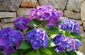 Sea-esta 2 - Foto 17