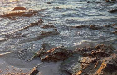 Il bacio del sole - S. Isidoro - Foto 55