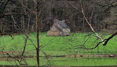 Paimpont: Gîte de la Haute Fenderie - Foto 4
