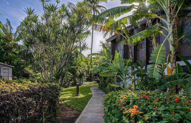 Tropical & Serene Garden Vistas - Photo 39