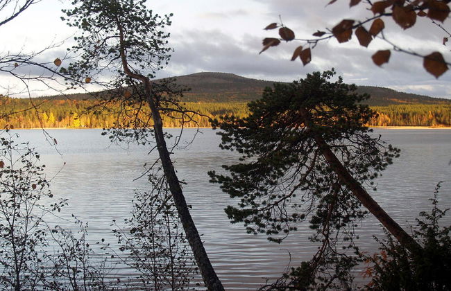 Teppolan rinne - Foto 26