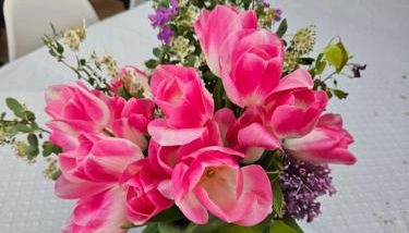 Deux maisons reunis par le jardin et sa cabine de plage, à 8min à pieds des plages et de l'océan - Foto 4