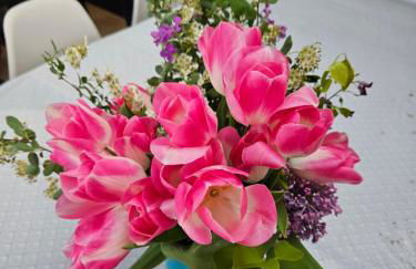 Deux maisons reunis par le jardin et sa cabine de plage, à 8min à pieds des plages et de l'océan - Foto 4