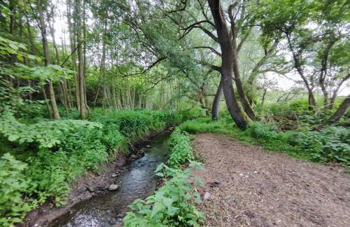 Chalets in nature Nedderhagen - Foto 17