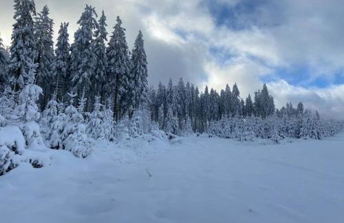 Ferienwohnung Parkblick Medebach - wunderschöne 52qm Dachterasse - in der Nähe von Center Parcs - Foto 44