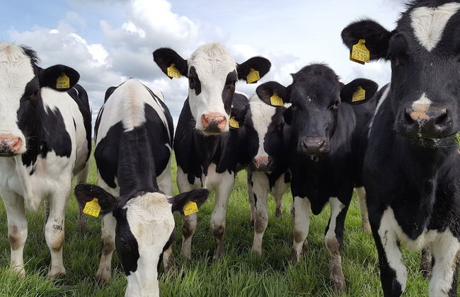 Idyllic Rural Home With Bikes - Foto 25