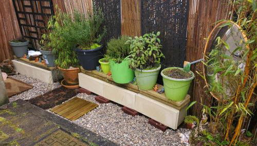 Maison à l'ancienne avec grand terrain , animaux bienvenus - Foto 5