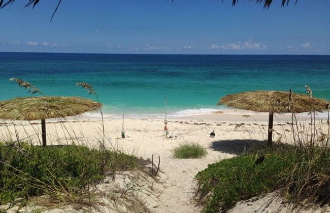 Buttonwood Reserve 1D - Foto 21