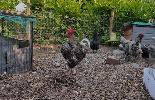 The Sty & The Stable - Foto 13