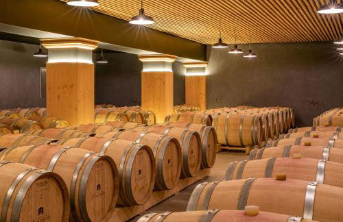 Villa Cinsault, un bijou pour votre séjour en Provence Verte - Foto 20