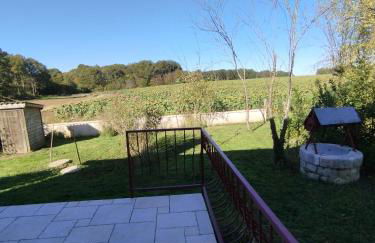 Ancienne maison du garde barrière,spa, billard proche zoo Beauval, château de la Loire - Foto 3