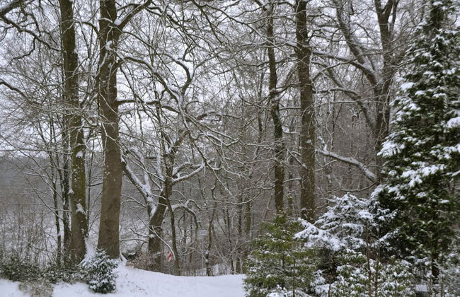 Flat in Eutin on the Kleiner Eutiner See Lake - Photo 68