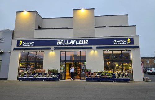 Appartement cosy proche Sceneo, Auchan, Saint-Omer - Foto 20