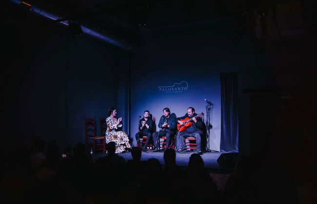 Spettacolo di flamenco al tablao Palosanto - Foto 2