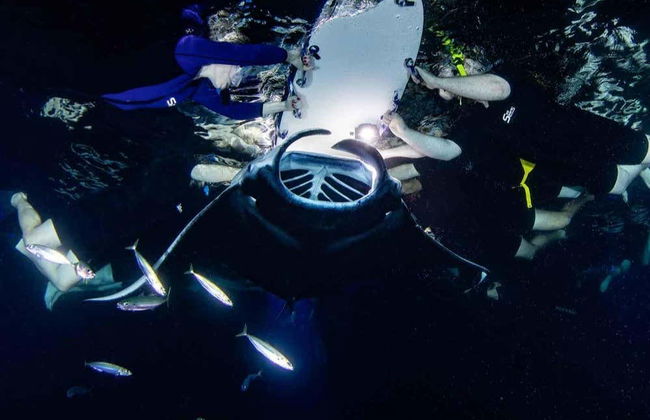 Night Swim with Manta Rays - Foto 4