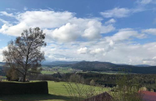 Ferienwohnungen Lusenblick - Foto 7