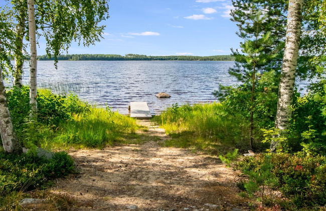 Niemennokka - Foto 3