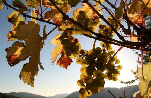 Appartement Familie Ernst - Foto 34