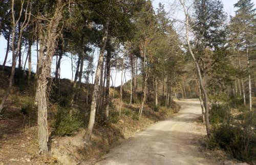 Ormanni nel Chianti Classico - Foto 122
