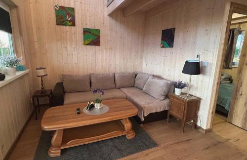 Domki Rekreacyjne "Błękitne Wzgórze" - Foto 10