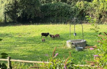 Domaine du Chesney - Foto 18