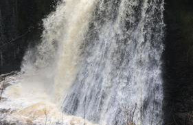 Rose Cottage. Family home on the river - Foto 72