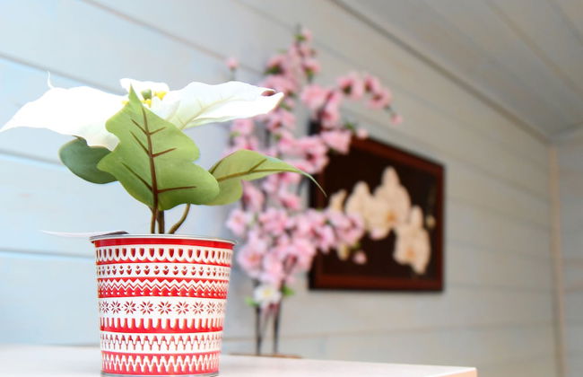 HotelJet - Cottages - Foto 14