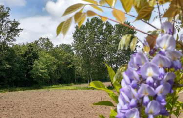 Casa Vacanze Riviera del Brenta - Photo 43