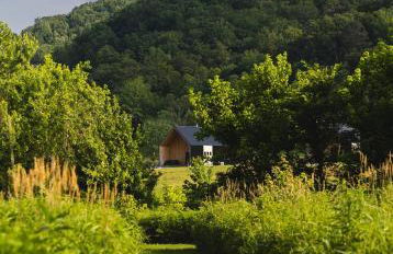 Three Suns Full Rental | 8 Cabins | Views | River - Foto 65