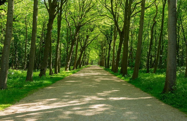 Holiday Home in Beautiful Oostkapelle - Photo 24