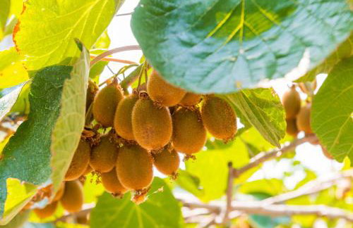 Friendly Apartments - Photo 16