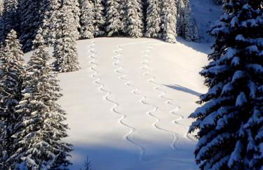 Top! Wohnung direkt am Fuß der Berge im Oberallgäu - Foto 31